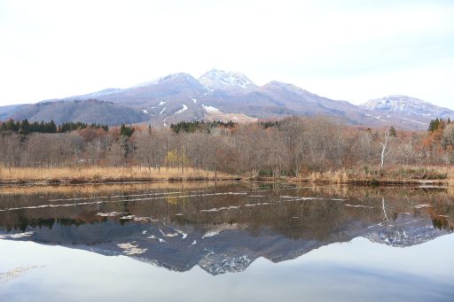 冬のいもり池の画像