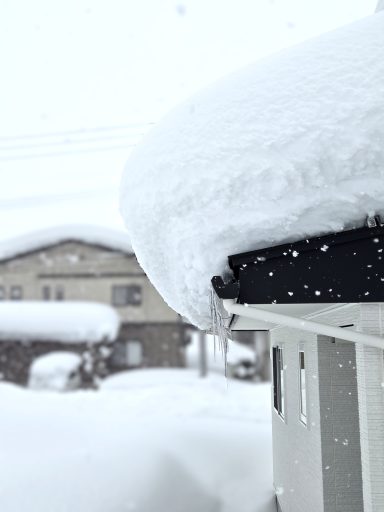 雪が降り積もる見学会場の画像